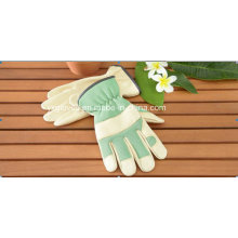 Grüner Handschuh-Leder Handschuh-Handschuh